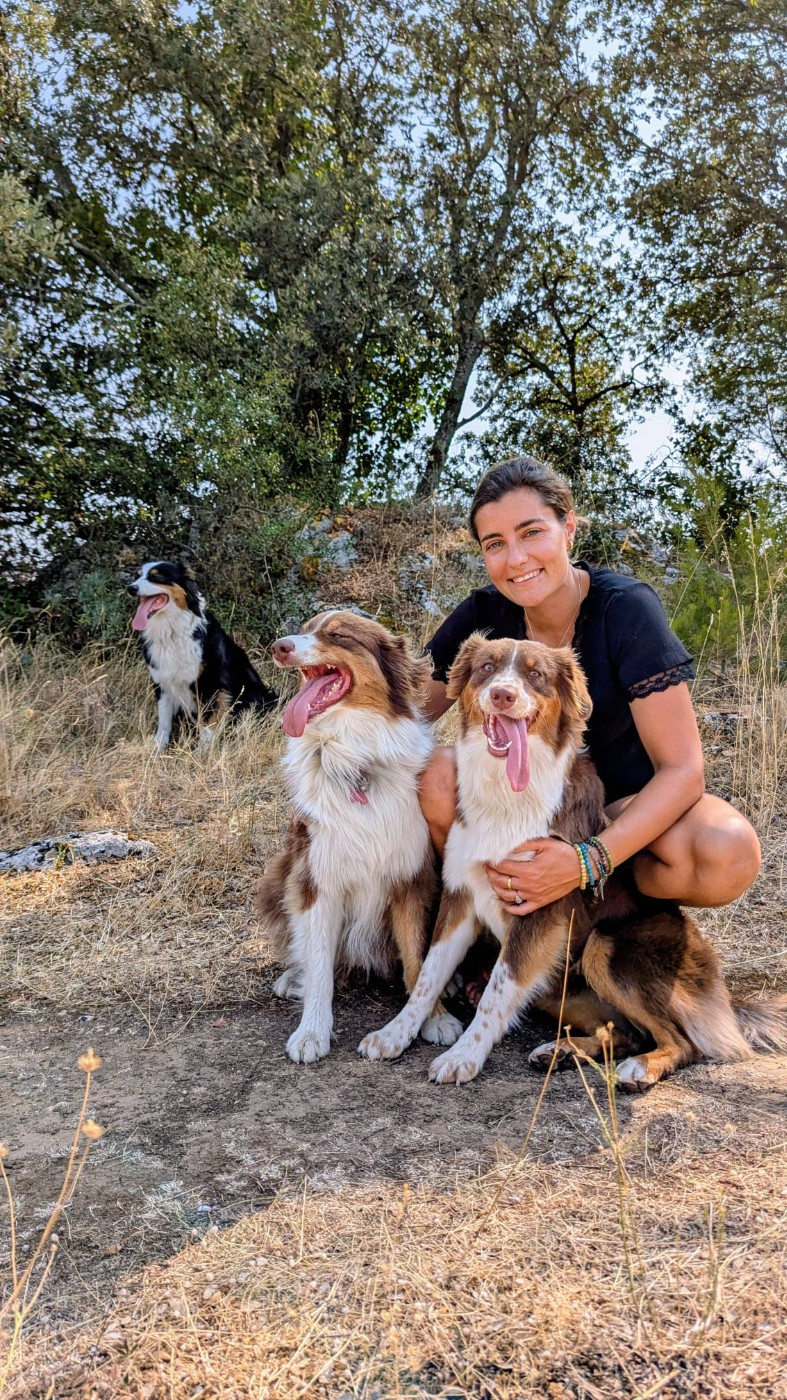 Avril 2026 : Prochaine et dernière portée pour Raven & Portée prévu pratiquement en même temps entre Shelby et Cusco le mâle de l'élevage